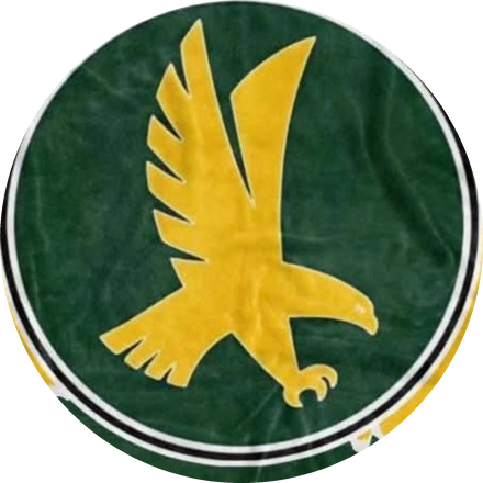 Firestone Falcons medallion